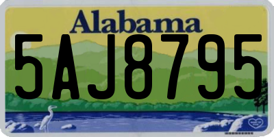 AL license plate 5AJ8795