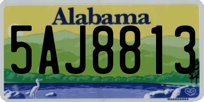 AL license plate 5AJ8813