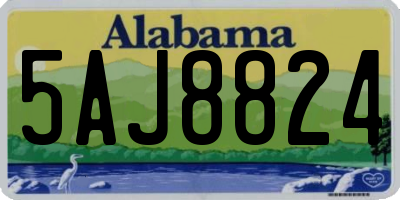 AL license plate 5AJ8824