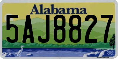 AL license plate 5AJ8827