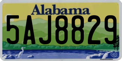 AL license plate 5AJ8829