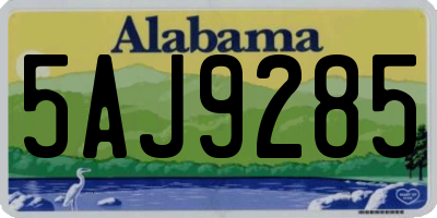AL license plate 5AJ9285