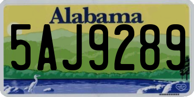AL license plate 5AJ9289
