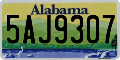 AL license plate 5AJ9307
