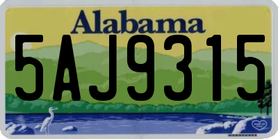 AL license plate 5AJ9315