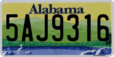 AL license plate 5AJ9316