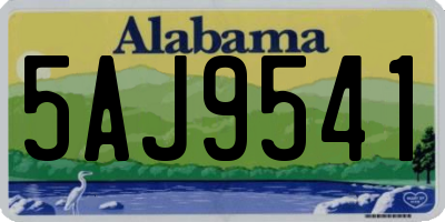 AL license plate 5AJ9541