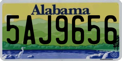 AL license plate 5AJ9656