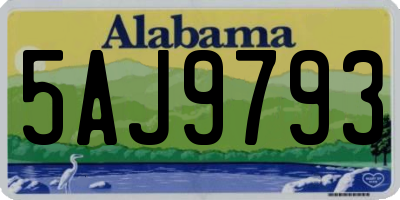 AL license plate 5AJ9793