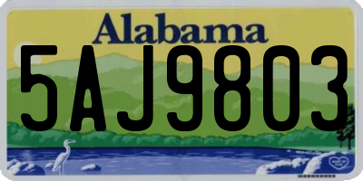AL license plate 5AJ9803