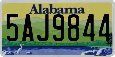 AL license plate 5AJ9844
