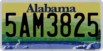 AL license plate 5AM3825