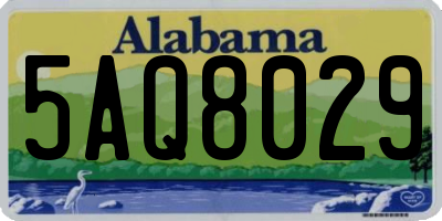 AL license plate 5AQ8029