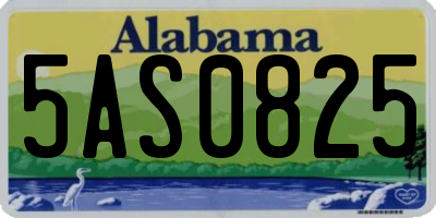 AL license plate 5AS0825