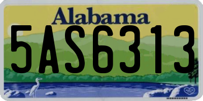 AL license plate 5AS6313