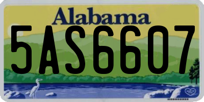 AL license plate 5AS6607