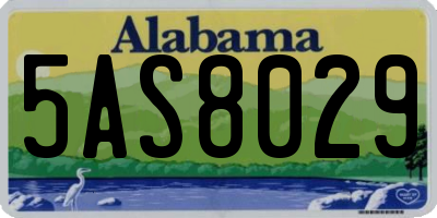 AL license plate 5AS8029