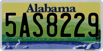 AL license plate 5AS8229