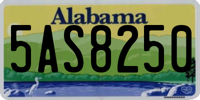 AL license plate 5AS8250