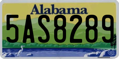 AL license plate 5AS8289