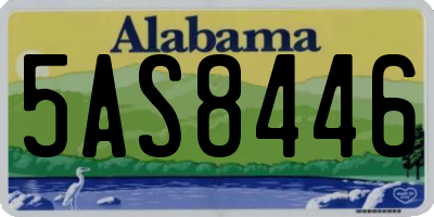 AL license plate 5AS8446