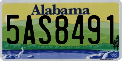 AL license plate 5AS8491