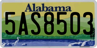 AL license plate 5AS8503