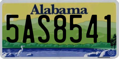 AL license plate 5AS8541