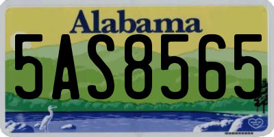 AL license plate 5AS8565