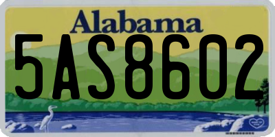AL license plate 5AS8602
