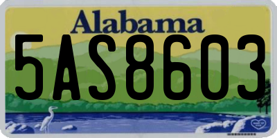 AL license plate 5AS8603