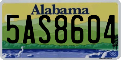 AL license plate 5AS8604