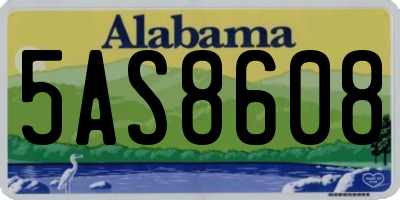 AL license plate 5AS8608