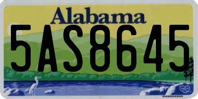 AL license plate 5AS8645