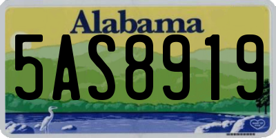 AL license plate 5AS8919