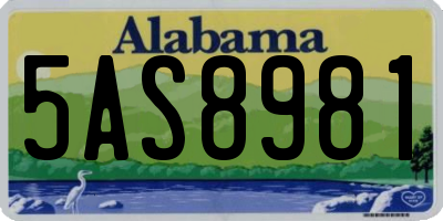 AL license plate 5AS8981