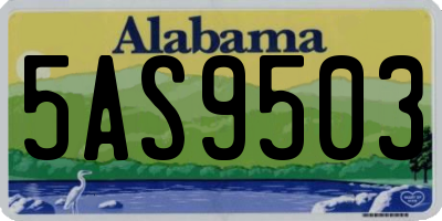 AL license plate 5AS9503