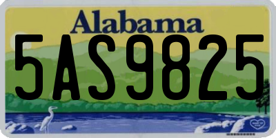 AL license plate 5AS9825