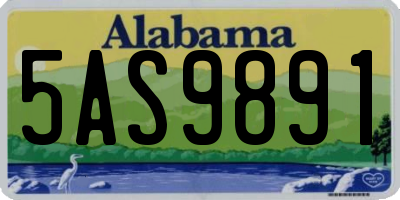 AL license plate 5AS9891