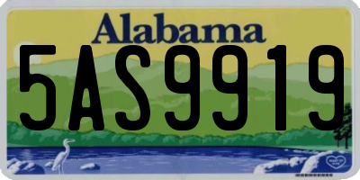 AL license plate 5AS9919