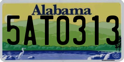 AL license plate 5AT0313