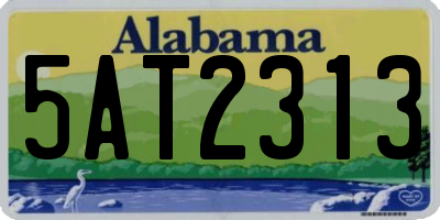 AL license plate 5AT2313
