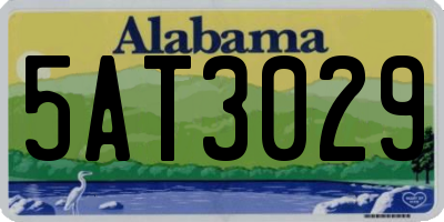 AL license plate 5AT3029