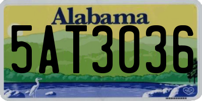 AL license plate 5AT3036