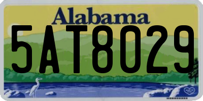 AL license plate 5AT8029