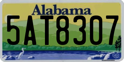 AL license plate 5AT8307