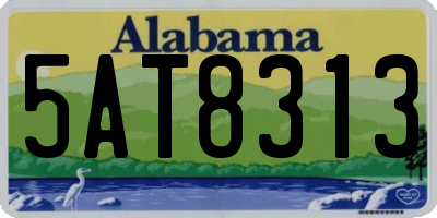 AL license plate 5AT8313