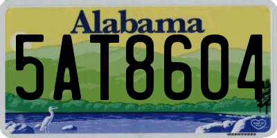 AL license plate 5AT8604