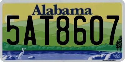 AL license plate 5AT8607