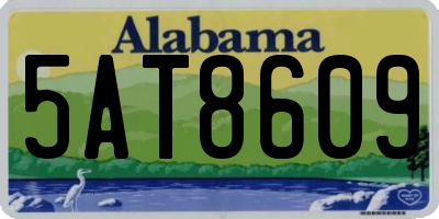 AL license plate 5AT8609